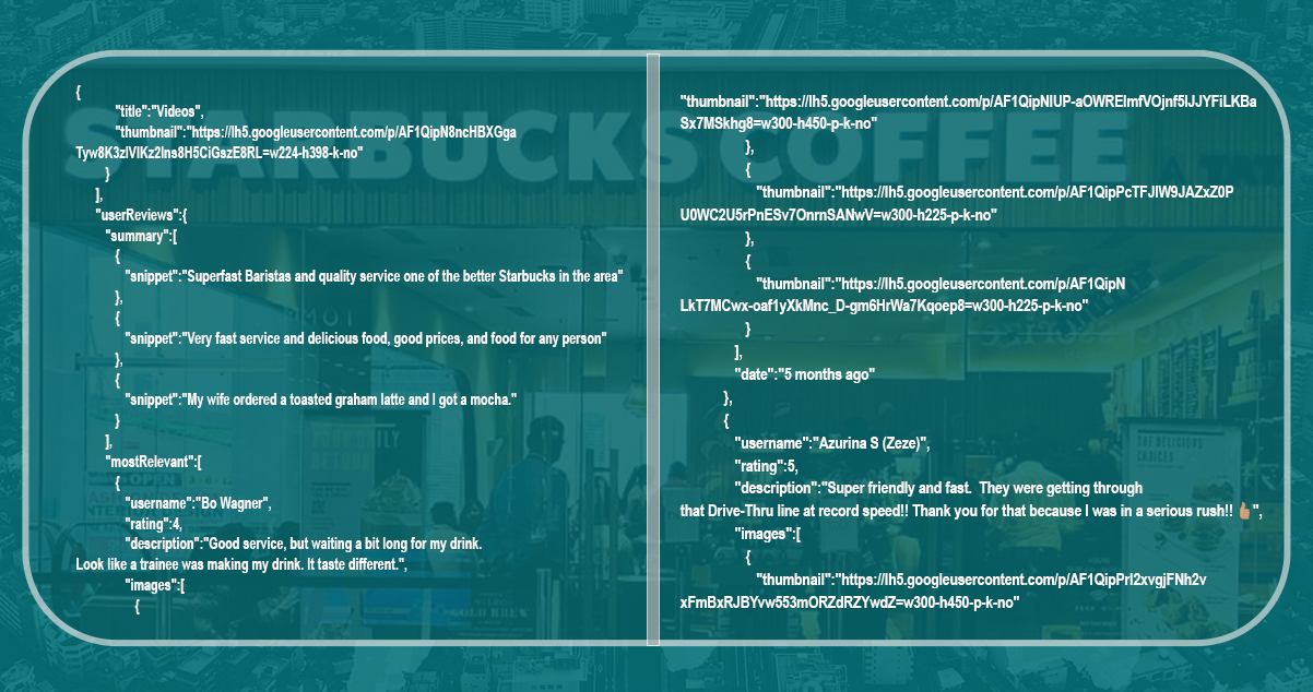 Scraping-Google-Maps-Place-Data-with-NodeJS- Complete-code